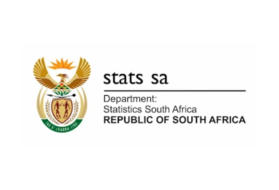 Statistics South Africa Logo